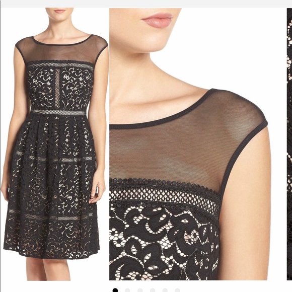 Eliza J Illusion Yoke Black Lace Dress Fit & Flare Date Party Evening Dress Sz 8 - Picture 1 of 6